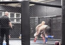 Tommy Oksa teki vapaaotteludebyytin – hakkasi vastustajan verille, tuomari keskeytti ottelun Tommy Oksa