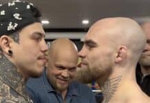 Immu paljasti uuden ottelun – Vavansambo palaa vapaaottelukehään! Vavansambo