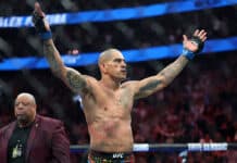 Alex Pereira luovutti mestaruusvyönsä – yrittää tehdä kesällä UFC-historiaa? Alex Pereira